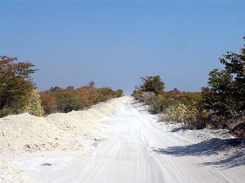 Bild152: Botswana Highway
